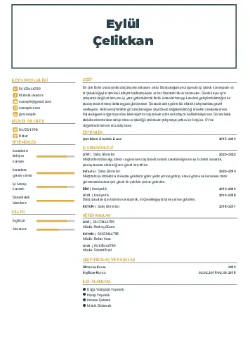 cv indir